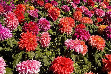 育碧宣布取消多人乱斗游戏《Project Q》开发工作